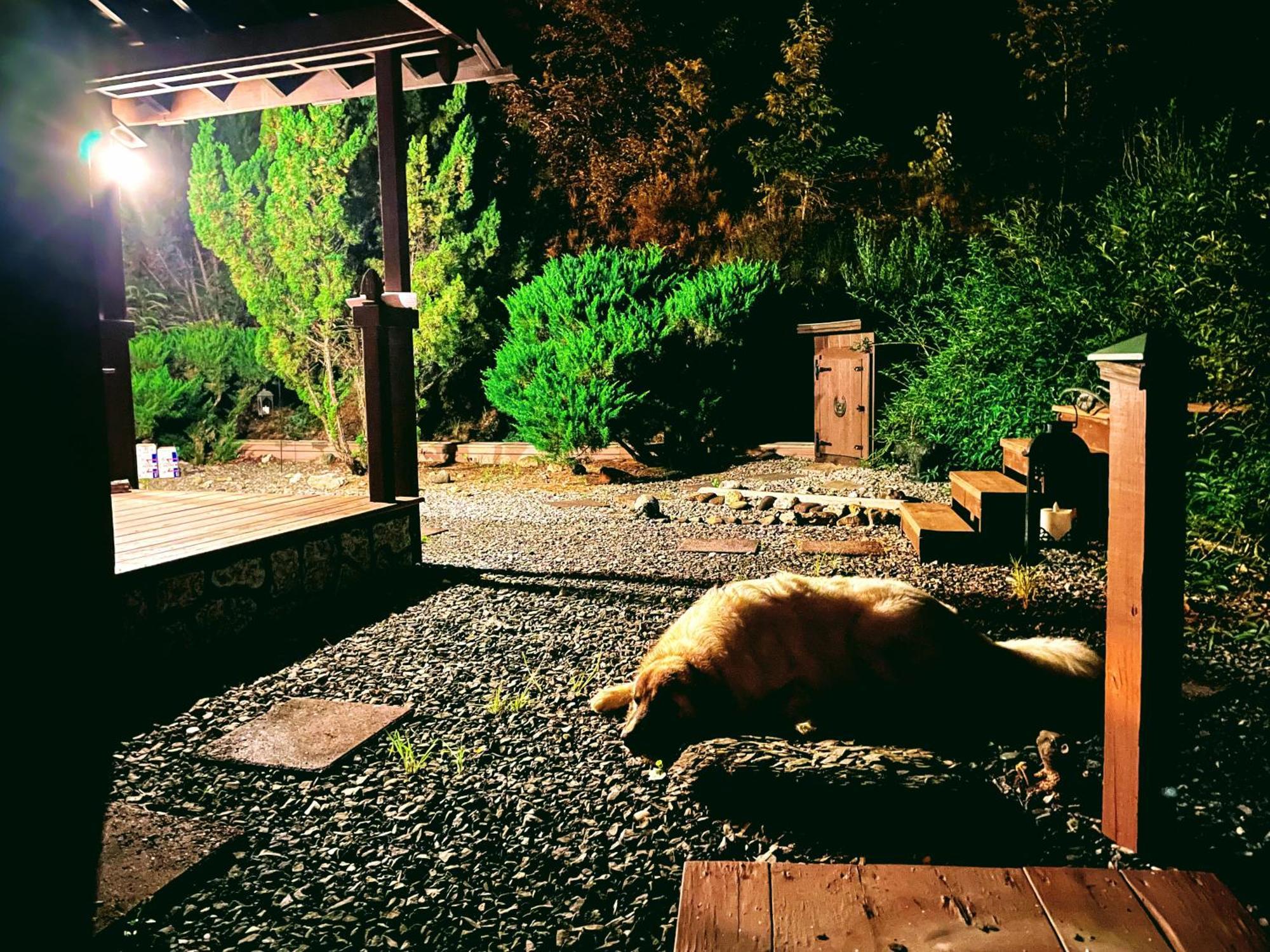 Willa Tiny House, Wifi,Hot Tub,Secluded Cosby Zewnętrze zdjęcie